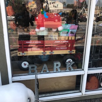 Echo Bark, Inc - Pet Stores Near Me - Los Angeles, California Echo Bark, Inc - Pet Stores Near Me - Los Angeles, California