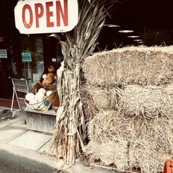 Sunfrost Farms - Get Your Hay Fix Here