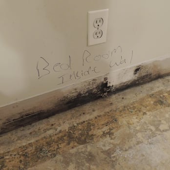 Yes Dear Handyman - Beginning stages of mold removal. - General Contractors Near Me Yes Dear Handyman - Beginning stages of mold removal. - General Contractors Near Me
