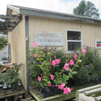 Gunter's Greenhouse - Gunter's - Nurseries & Gardening Near Me - Durham, North Carolina Gunter's Greenhouse - Gunter's - Nurseries & Gardening Near Me - Durham, North Carolina