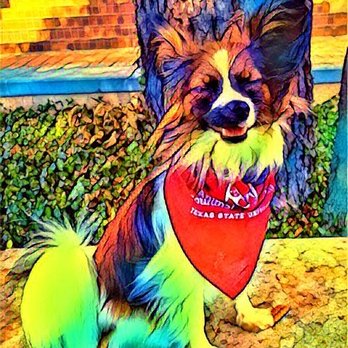 Creative Clarity Art Therapy - Sketch was feeling like a masterpiece himself! - Counseling & Mental Health Near Me - Burleson, Texas Creative Clarity Art Therapy - Sketch was feeling like a masterpiece himself! - Counseling & Mental Health Near Me - Burleson, Texas