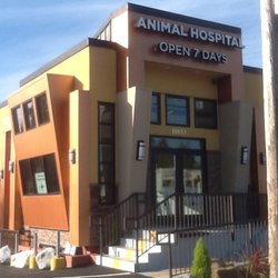 South Seattle Veterinary Hospital