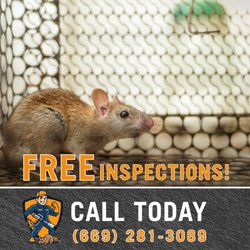 AmTex Rodent Solutions