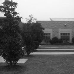 Pink Elementary School - Pink Elementary School