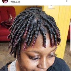 Freshlocs - Starter Loc Beginner Locs
