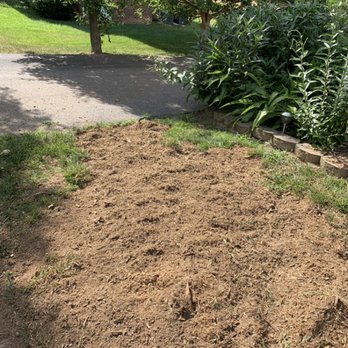 DSR - After - Tree Services Near Me