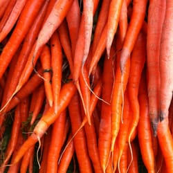Fullerton Certified Farmers Market