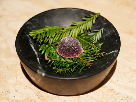 Ritual at Manresa by null