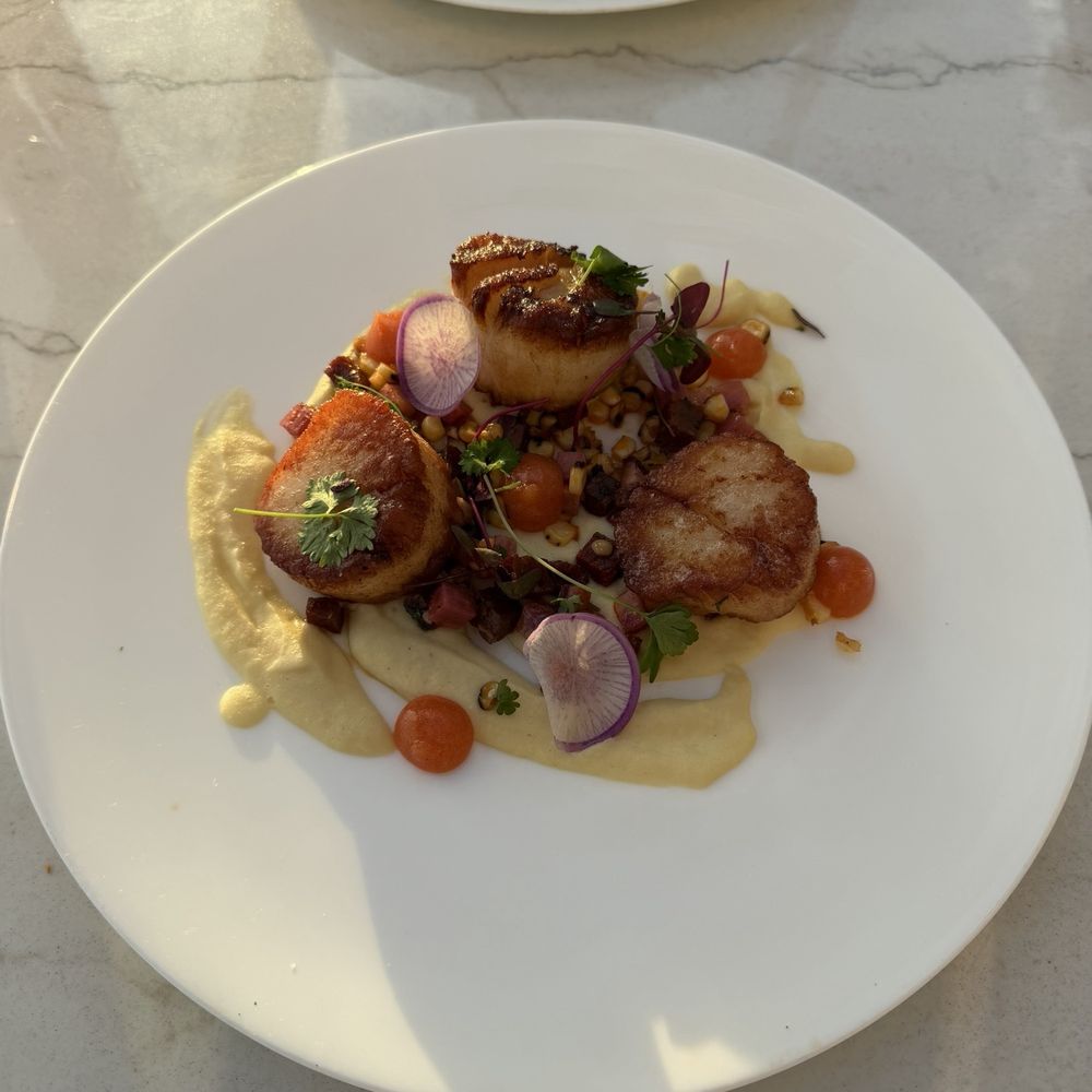 SEARED BRISTOL SCALLOPS SEARED BRISTOL SCALLOPS
