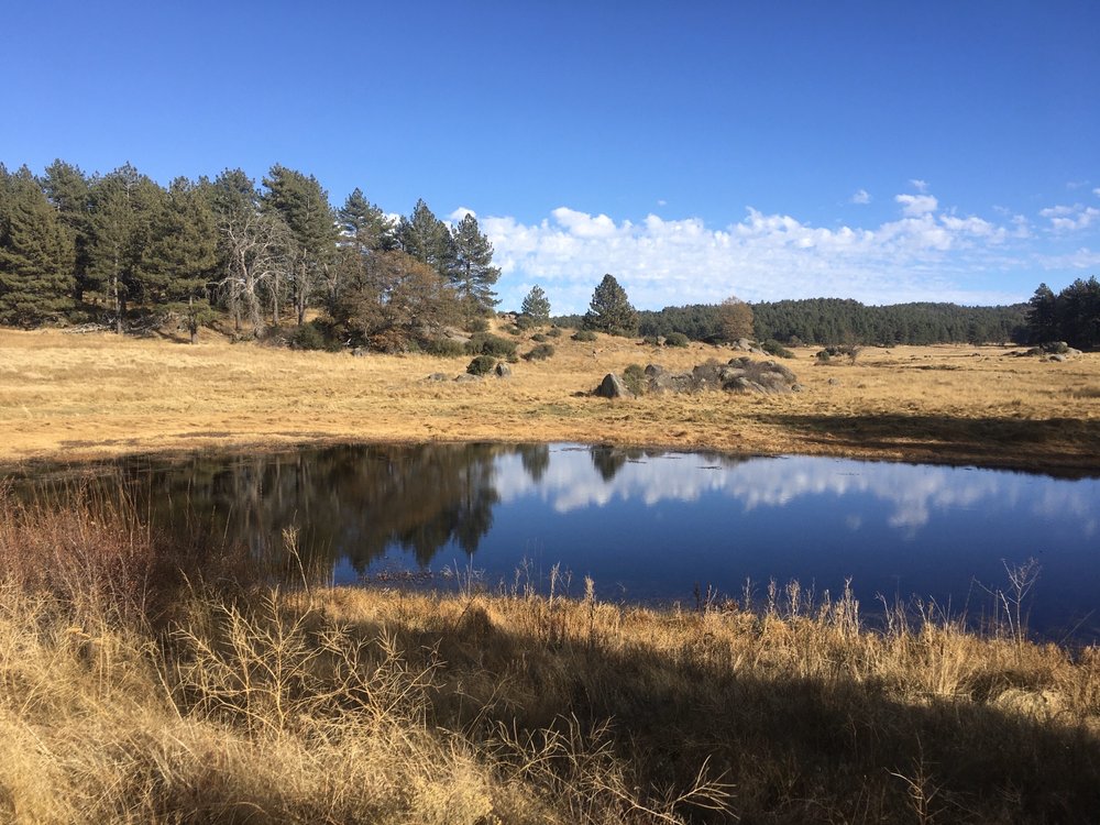 MOUNT LAGUNA CAMPGROUND 147 Photos & 71 Reviews 10678 Sunrise Hwy