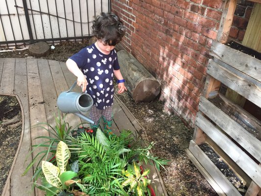 Elements, the Nature Preschool, New York by null