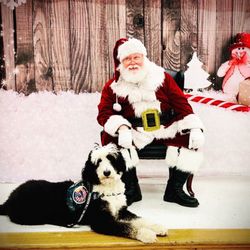 Canine Support Teams