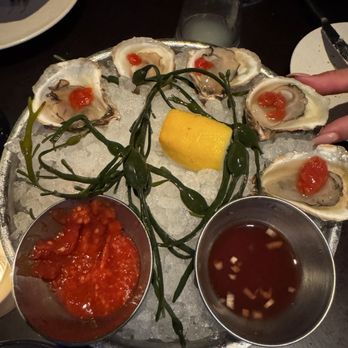 Steak 954 - Oysters - Steakhouses Near Me - Fort Lauderdale, Florida Steak 954 - Oysters - Steakhouses Near Me - Fort Lauderdale, Florida