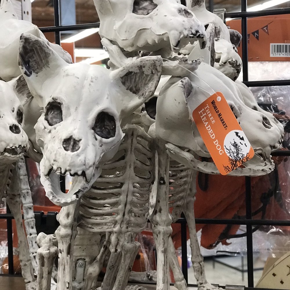 World Market - 3 headed dog decoration - Furniture Stores Near Me - Santa Rosa, California