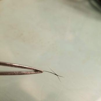 Timothy Stimac Salon & Spa - Two more lashes glued together. - Hair Salons Near Me - Bremerton, Washington Timothy Stimac Salon & Spa - Two more lashes glued together. - Hair Salons Near Me - Bremerton, Washington