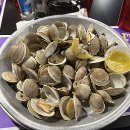 A plate of 50 Cedar Key little neck clams A plate of 50 Cedar Key little neck clams