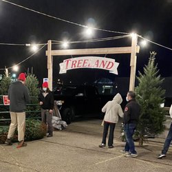 Treeland Christmas Trees - Treeland At night!