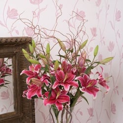 Florian - Photo taken from www.flowers-brighton-hove.co.uk