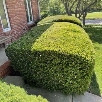 QuikTrip - a row of trimmed hedges in front of a house - Gas Stations Near Me - Wichita, Kansas QuikTrip - a row of trimmed hedges in front of a house - Gas Stations Near Me - Wichita, Kansas