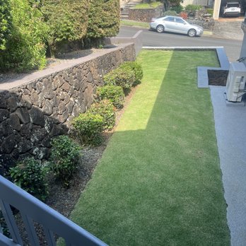 Immaculate Landscaping - Lawn and shrubs. - Landscaping Near Me Immaculate Landscaping - Lawn and shrubs. - Landscaping Near Me