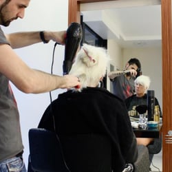 MOS unisex hair salon