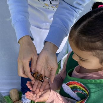 Heritage Park Tot Lot - Butterfly Release - Preschools Near Me - Cerritos, California Heritage Park Tot Lot - Butterfly Release - Preschools Near Me - Cerritos, California