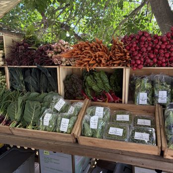 Sage Hill Ranch Gardens - Produce - beets, carrots, turnip, lettuce, microgreens - Attraction Farms Near Me - Escondido, California Sage Hill Ranch Gardens - Produce - beets, carrots, turnip, lettuce, microgreens - Attraction Farms Near Me - Escondido, California