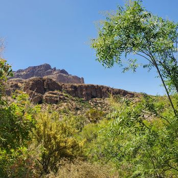 Boyce Thompson Arboretum - More Boyce Thompson views. - Botanical Gardens Near Me - Superior, Arizona Boyce Thompson Arboretum - More Boyce Thompson views. - Botanical Gardens Near Me - Superior, Arizona