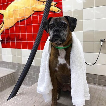 Pet Food Express - Pet Stores Near Me - Glendale, California