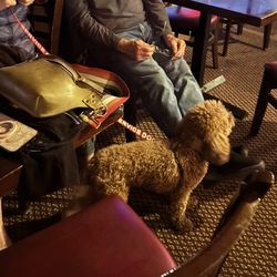 Antlers Tavern - Not good for him!