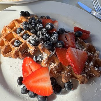 Giorgio's Bakery & Bistro - Bakeries Near Me - Hollywood, Florida Giorgio's Bakery & Bistro - Bakeries Near Me - Hollywood, Florida