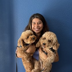 Marpawws - Doggy heaven