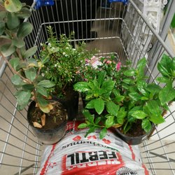 Sodimac - 4 x 3 en plantitas, la alegría total