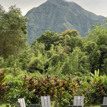 Ama - This was our view sitting at the high top table & bar stools. The best spot in the restaurant (in my opinion) - Cocktail Bars Near Me - Hanalei, Hawaii