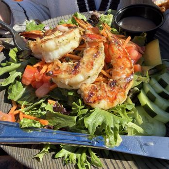 Blue Water - Grilled Shrimp Salad - Seafood Near Me - San Diego, California