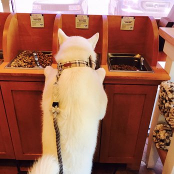 Three Dog Bakery - Oh hey, think I need one of these, too. - Pet Stores Near Me - Las Vegas, Nevada Three Dog Bakery - Oh hey, think I need one of these, too. - Pet Stores Near Me - Las Vegas, Nevada