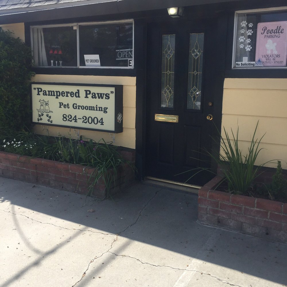Pampered Paws - The building is adorable! - Pet Groomers Near Me - Manteca, California Pampered Paws - The building is adorable! - Pet Groomers Near Me - Manteca, California