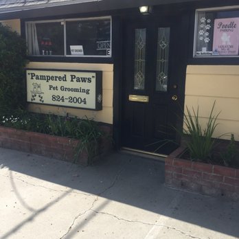 Pampered Paws - The building is adorable! - Pet Groomers Near Me - Manteca, California Pampered Paws - The building is adorable! - Pet Groomers Near Me - Manteca, California