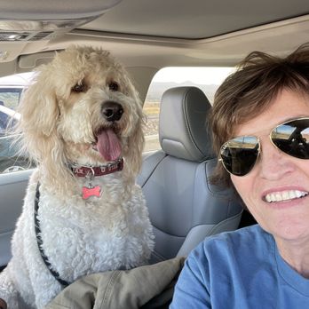 Muddy Paws Mobile Grooming - Archie - Pet Groomers Near Me - Norco, California Muddy Paws Mobile Grooming - Archie - Pet Groomers Near Me - Norco, California