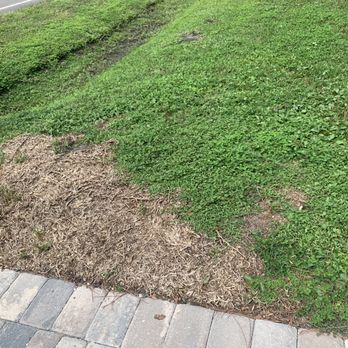 Green Earth Solutions - More new sod - Pest Control Near Me - Jacksonville, Florida Green Earth Solutions - More new sod - Pest Control Near Me - Jacksonville, Florida