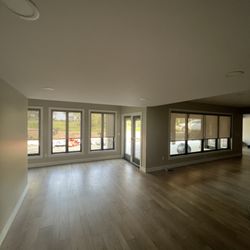 Shady Ladies - Motorized Wand Roller Blinds