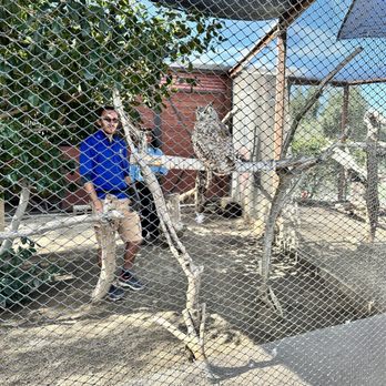 America's Teaching Zoo - Owl - Zoos Near Me - Moorpark, California
