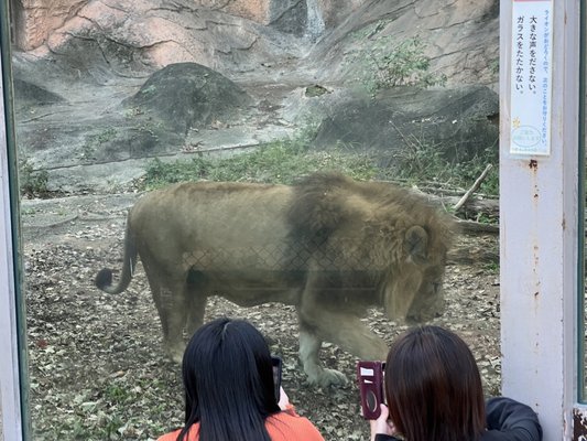 Higashiyama Zoo and Botanical Gardens by null