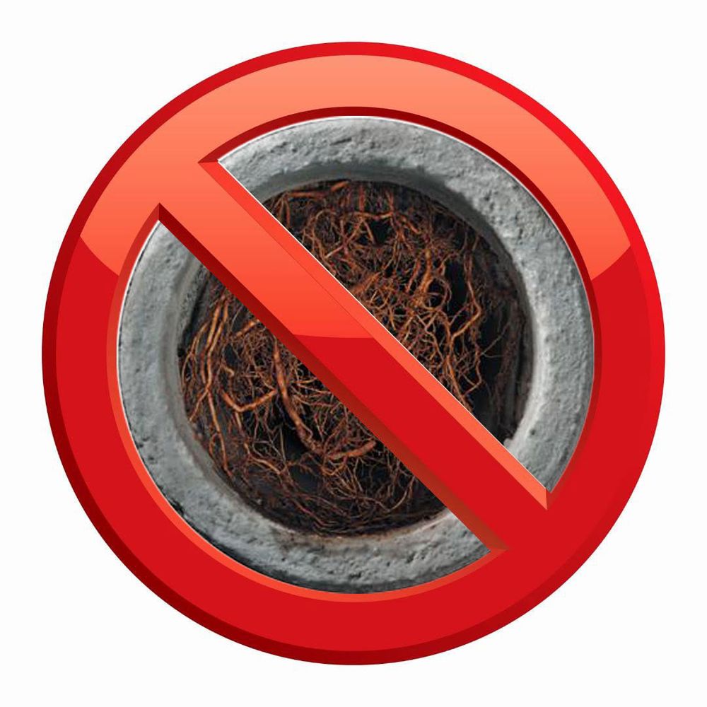 Slide of Roots Be Gone