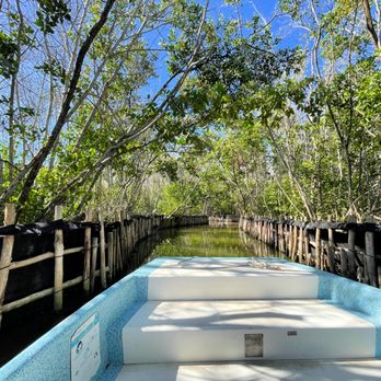 Reserva Ecológica El Corchito - Boat through the mangrove to get to the preserve - Landmarks & Historical Buildings Near Me - Progreso, YUC