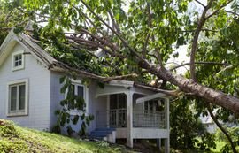 Storm Damage Restoration - Residential and Commercial Storm Damage Repairs! The only storm restoration company located in the city of North Branch, MN.
Has your home been damaged by a storm? For more than 30 years, we have worked with insurance carriers to restore homes and businesses in the North Branch, MN area to their original states. Call (612) 201-4501 today and a Top Shelf Construction LLC representative will happily provide you with a free inspection. Storm Damage Restoration - Residential and Commercial Storm Damage Repairs! The only storm restoration company located in the city of North Branch, MN.
Has your home been damaged by a storm? For more than 30 years, we have worked with insurance carriers to restore homes and businesses in the North Branch, MN area to their original states. Call (612) 201-4501 today and a Top Shelf Construction LLC representative will happily provide you with a free inspection.