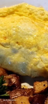 The Green Gator Frisco by null