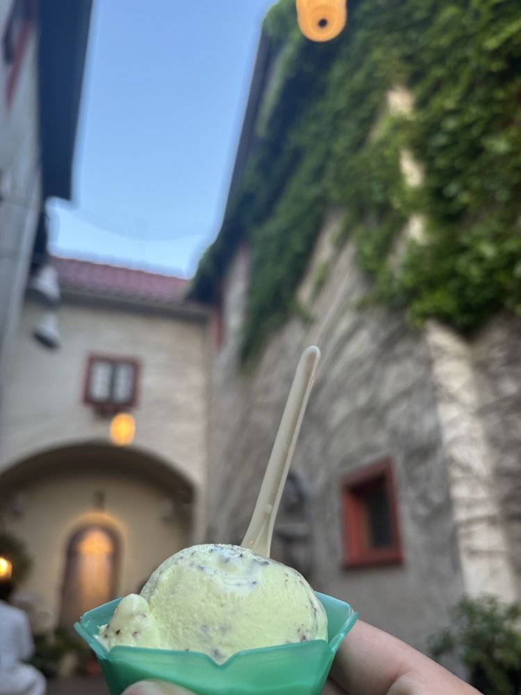 Sonny's Ice Cream Logo