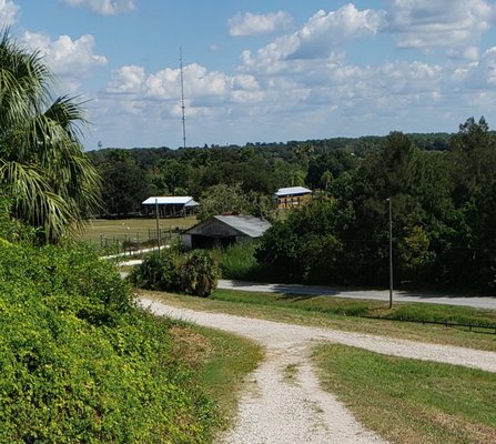 Celery Fields by null