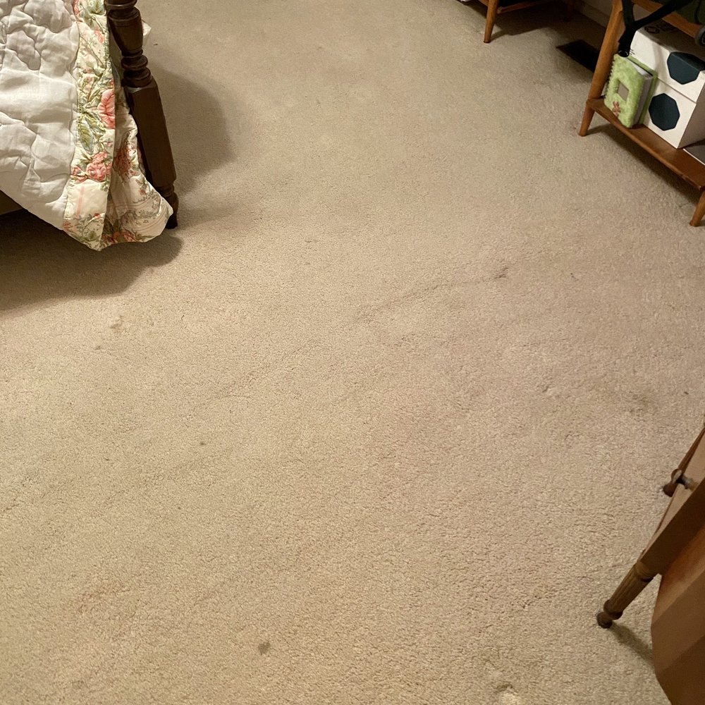 Buzy B'z Carpet Cleaning - Before BR - Carpet Cleaning Near Me - Yuba City, California